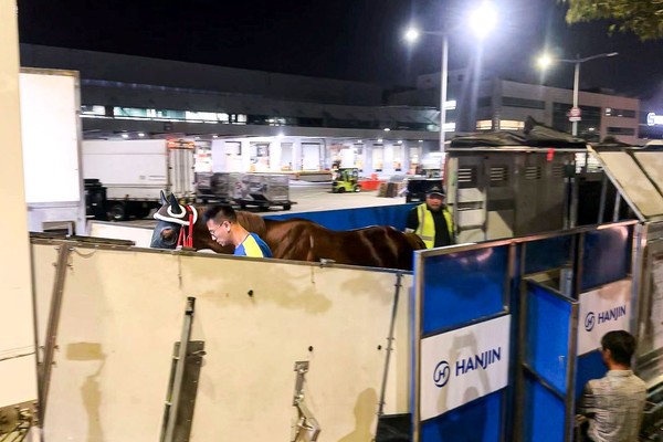 Incheon Airport's Boeing B777 Freighter Conversion Project Progressing Smoothly
